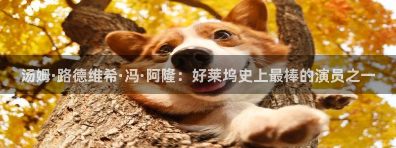 青丝影院最新电视剧免费播放