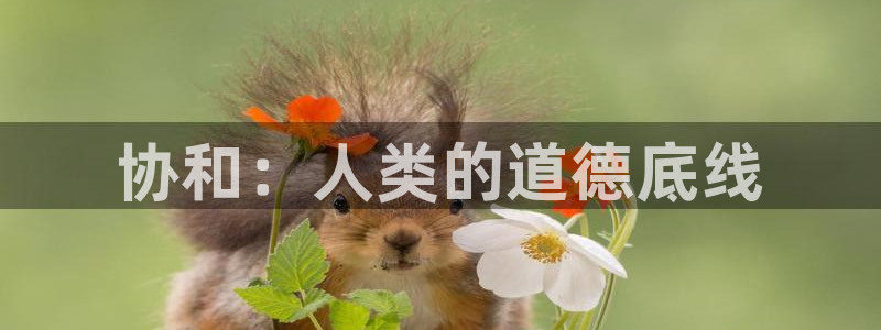 青丝影视大全在线观看国语版