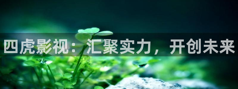 青丝在线影院：四虎影视：汇聚实力，开创未来