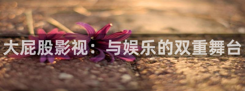 青丝影院电视剧在线观看全集高清版：大屁股影视：与娱乐的双重舞台