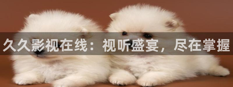 青丝影院在线观看最新电视剧