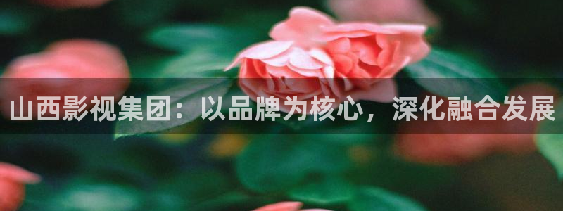 青丝影院免费观看电视剧最新：山西影视集团：以品牌为核心，深化融合发展