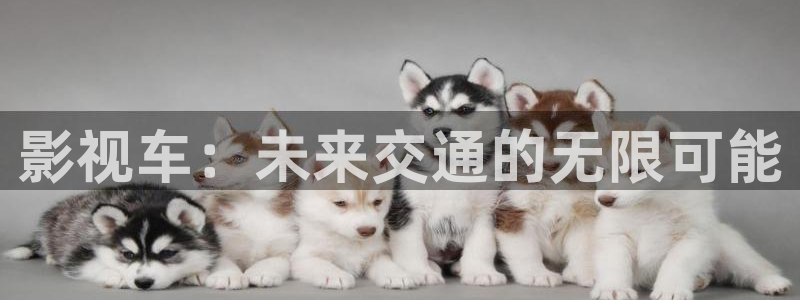 青丝影视在线看免费版