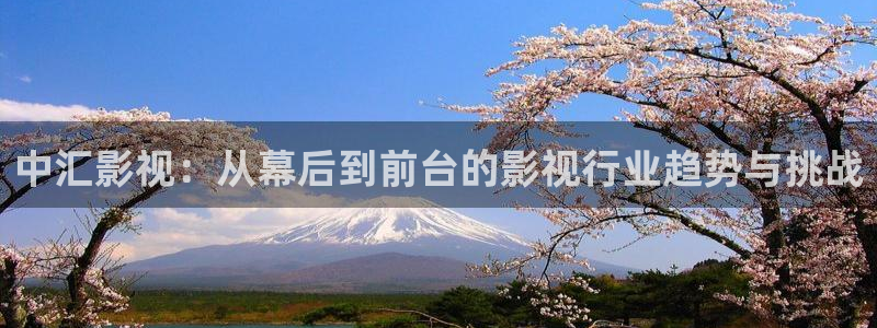 青丝电影